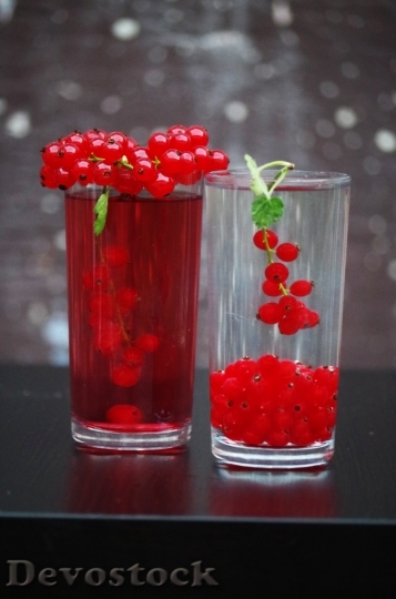 Devostock Currant Fruit Health Berry 2