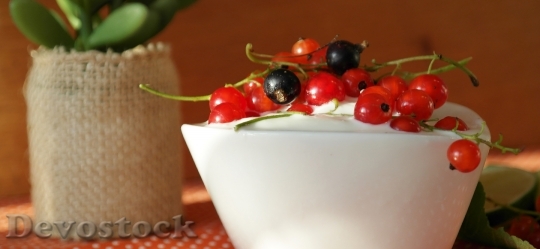 Devostock Currants Berries Fruit Yogurt