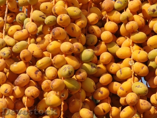 Devostock Dates Fruit Yellow Foodstuffs