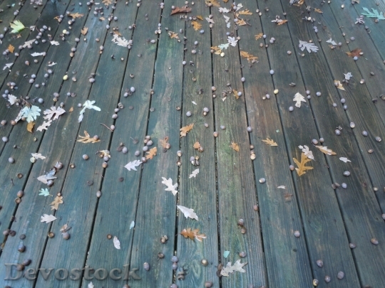 Devostock Deck Acorn Leaves Oak