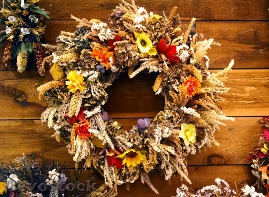 Devostock Decoration Wreath Fall Natural