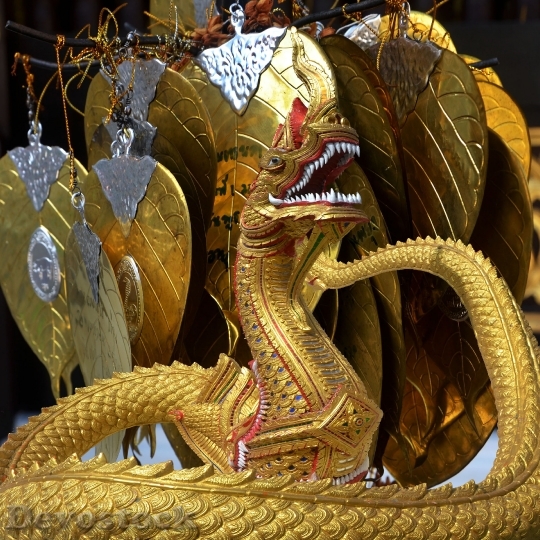Devostock Dragon Leaves Gold Spiritual