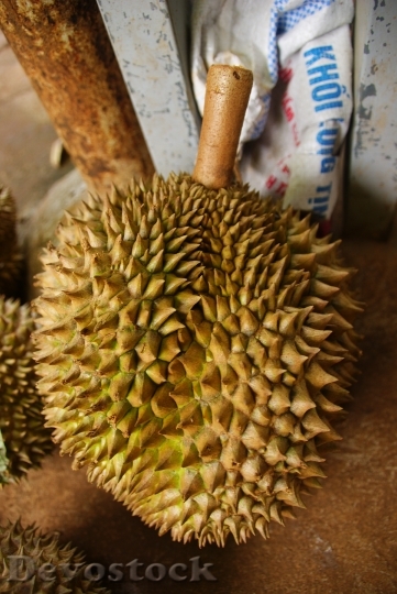 Devostock Durian Exotic Fruit Tropical