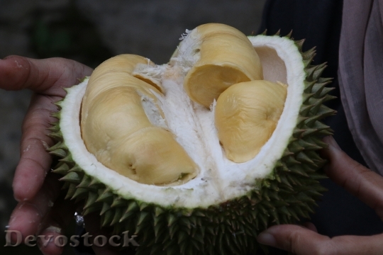 Devostock Durian King Fruit Exotic