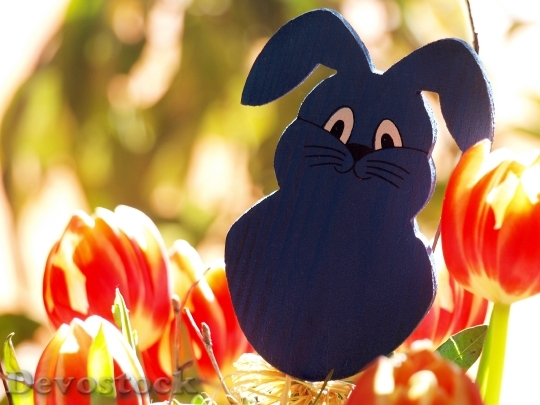 Devostock Easter Bunny Easter Rabbit 0