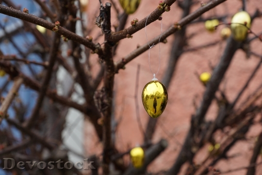 Devostock Egg Gold Easter Branch