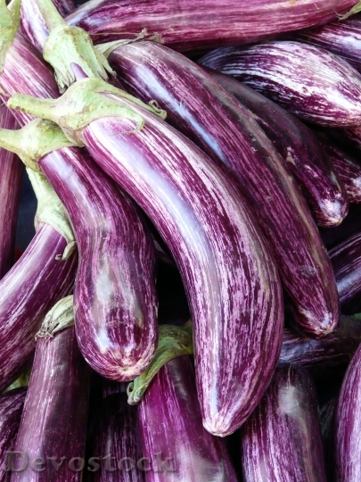 Devostock Eggplant Mark Purple Violet 0