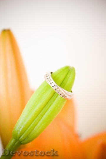 Devostock Engagement Ring Wedding Party