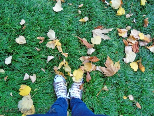 Devostock Feet Autumn Lawn Soil