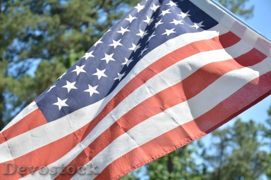 Devostock Flag American Flag Tree 0