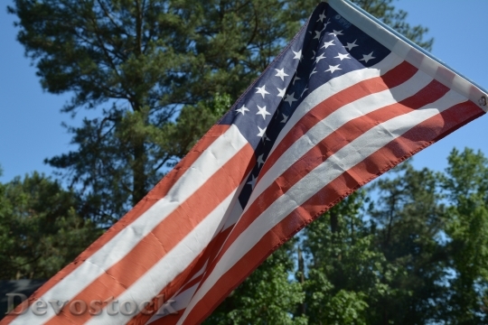 Devostock Flag American Flag Tree 1