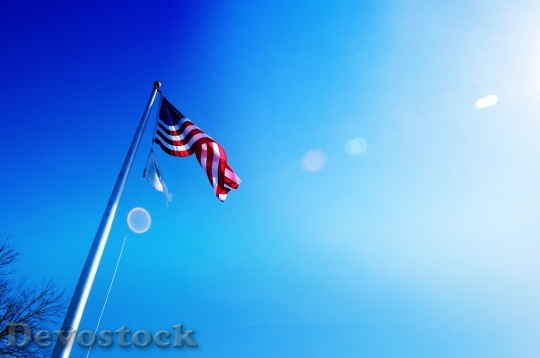 Devostock Flag Americana Unitedstates America