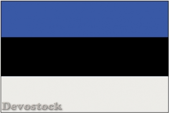Devostock Flag Estonia