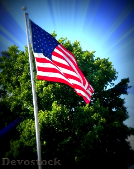 Devostock Flag Glory American Usa