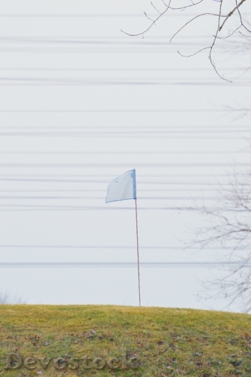 Devostock Flag Golf Course Wires