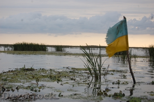 Devostock Flag Ukraine Swamp Danube