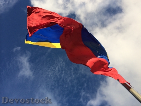 Devostock Flag Venezuela Pole 1275937