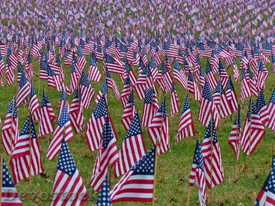 Devostock Flags American Usa Patriotic