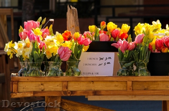 Devostock Flower Cart Flower Sale