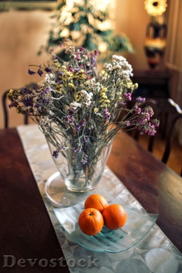 Devostock Flower Flowers Table Oranges
