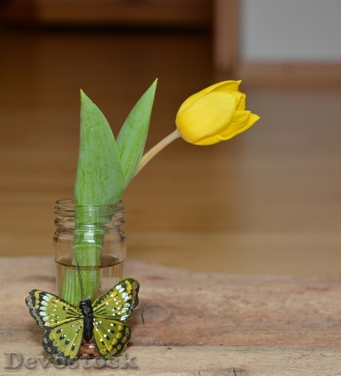 Devostock Flower Tulip Vase Yellow