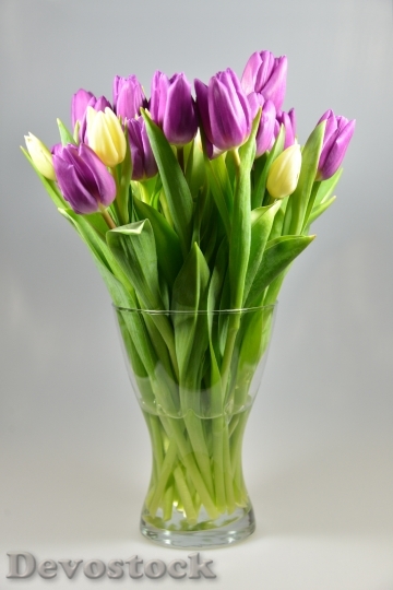 Devostock Flower Vase Tulips Bouquet