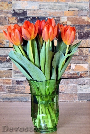 Devostock Flower Vase Tulips Spring