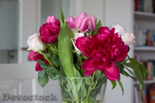 Devostock Flowers Peony Tulips Roses 1