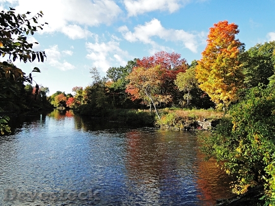 Devostock Foliage Season Fall River