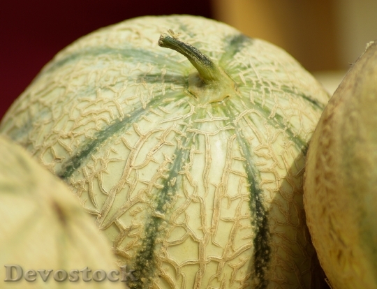 Devostock France Melons Fruit Market