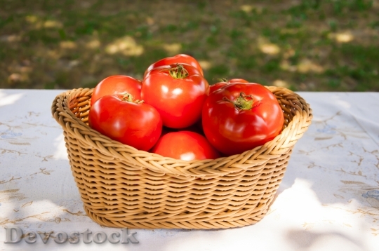 Devostock Fresh Tomatoes Basket Tomato