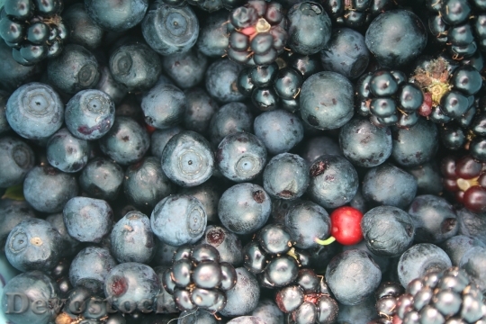 Devostock Fruit Berries Jagoda Blueberries