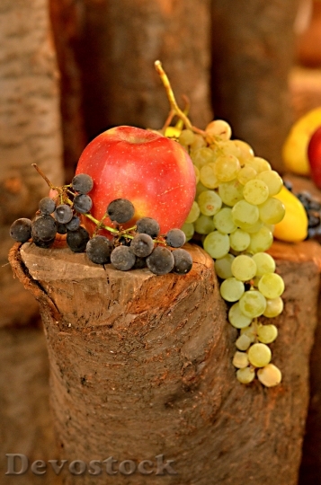 Devostock Fruit Blessing Crop Health