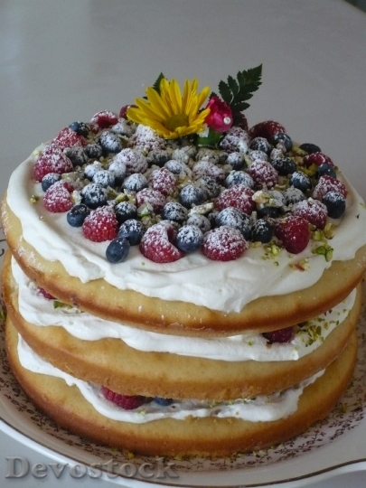 Devostock Fruit Cake Pastry 1405959