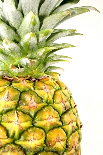 Devostock Fruit Juices Pineapples 642727