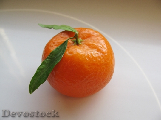 Devostock Fruit Mandarin Healthy 78781
