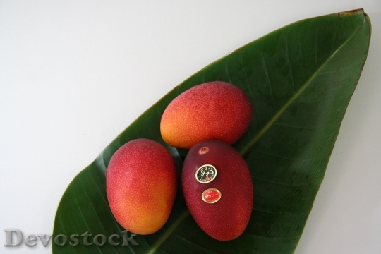 Devostock Fruit Mango Egg Sun