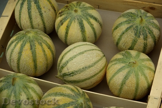 Devostock Fruit Market Melons 808347