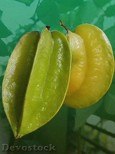 Devostock Fruit Philippine Fruit Star