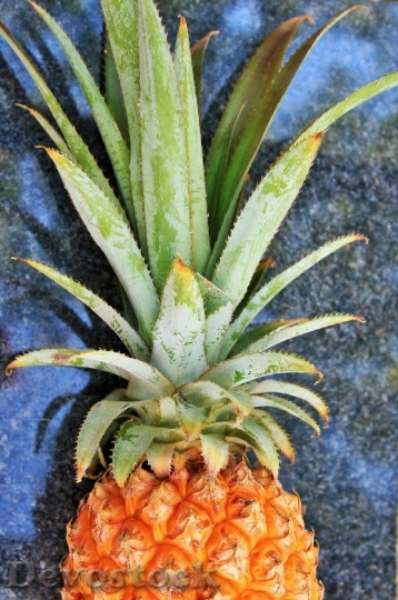 Devostock Fruit Pineapple Skin Yellow 0