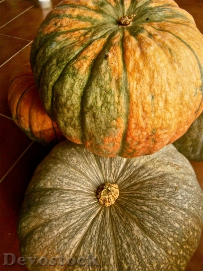 Devostock Fruit Pumpkin Vegetable Autumn 0