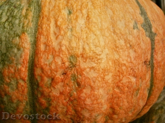 Devostock Fruit Pumpkin Vegetable Autumn 3