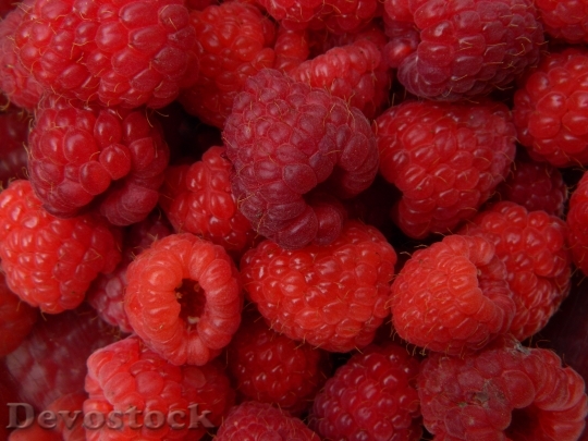 Devostock Fruit Raspberry Red Summer