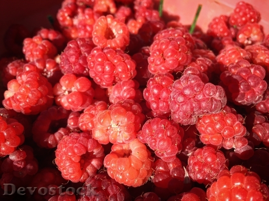 Devostock Fruit Raspberry Summer Food