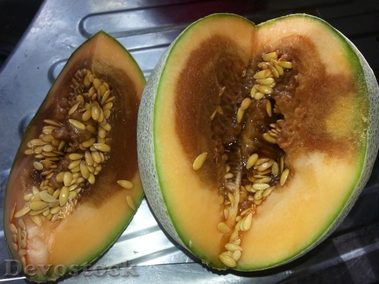 Devostock Fruit Rotten Melon 1646764