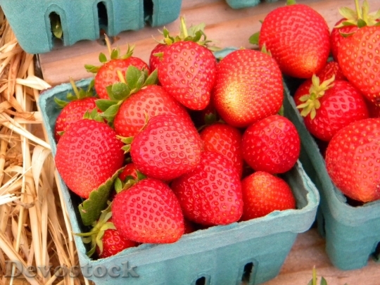 Devostock Fruit Strawberry Basket Organic