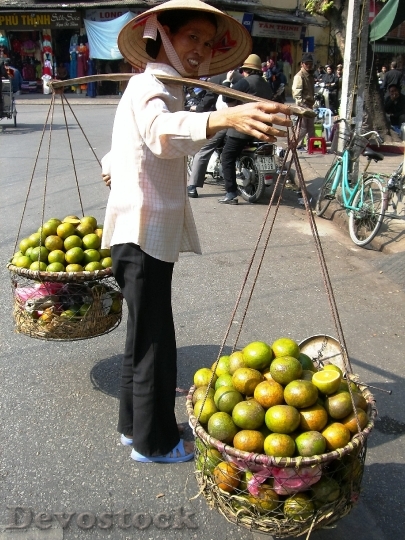 Devostock Fruit Trade Viet Nam