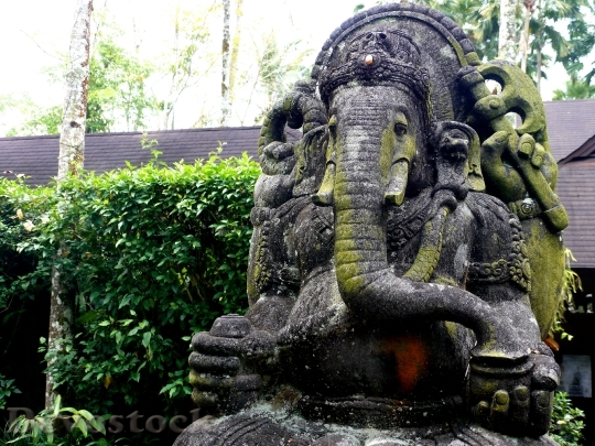Devostock Ganesha Elephant Religion India