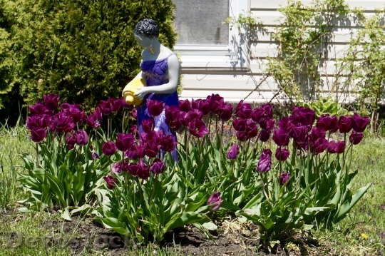 Devostock Garden Sculpture Lawn Statue