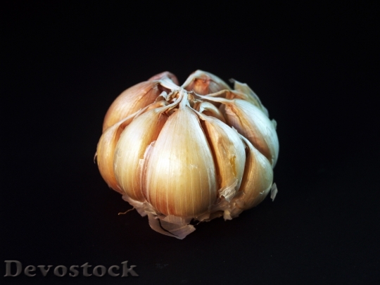 Devostock Garlic Meals White Clove